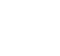ARABIAN FACE-06